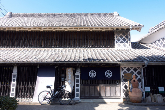 南伊豆河津桜-019