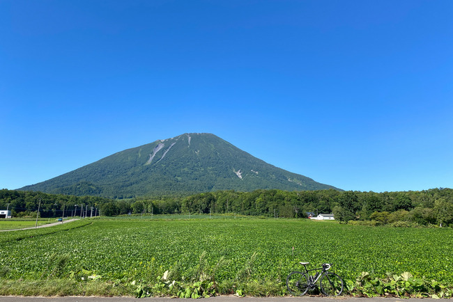 ヨウテイイチ-003