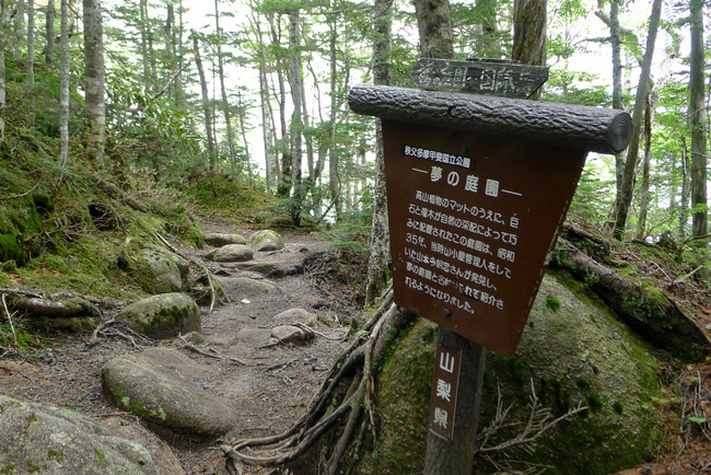 大弛峠-020