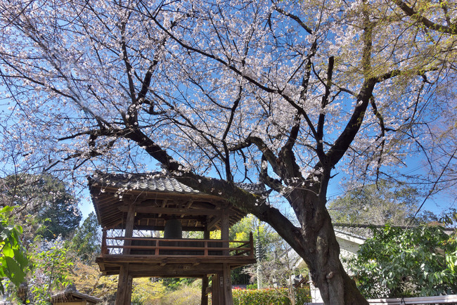 入間川越-008