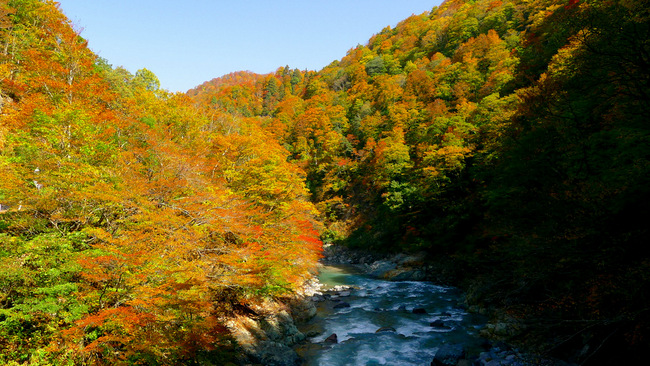 秘境秋山郷の紅葉ライド 自転車百景 秘境秋山郷の紅葉ライド 自転車百景