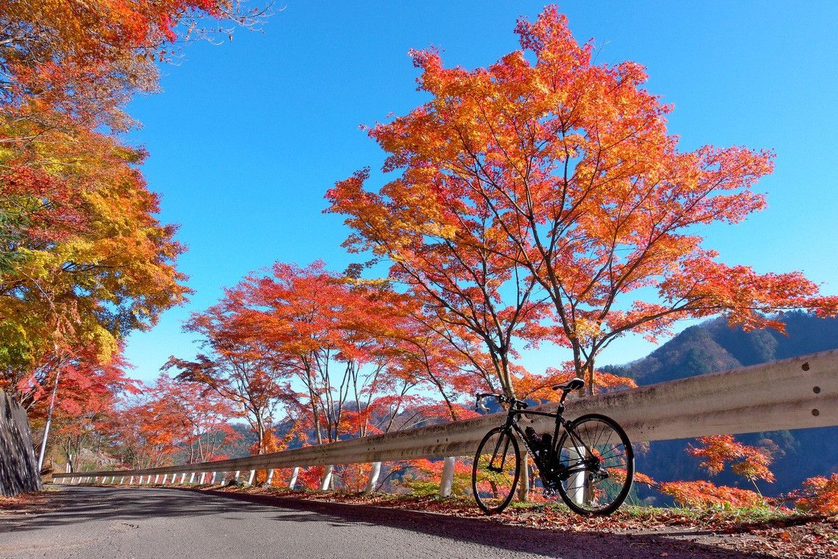 北関東 自転車百景 北関東 自転車百景