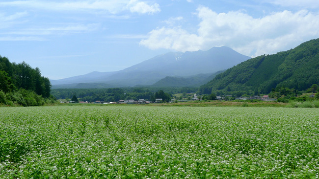 開田高原-010