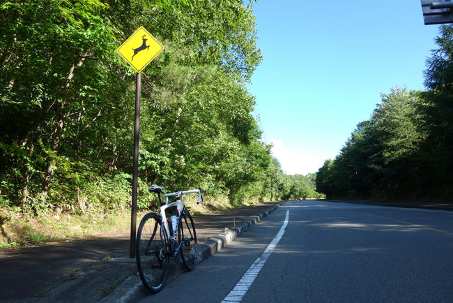 八ヶ岳高原-005