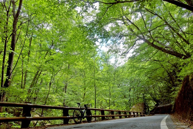 八ヶ岳&瑞牆山-005