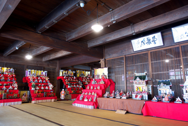 南伊豆河津桜-022