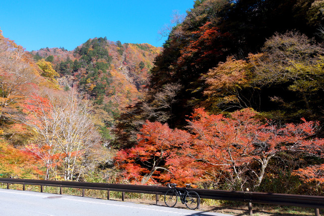 奥秩父紅葉-013