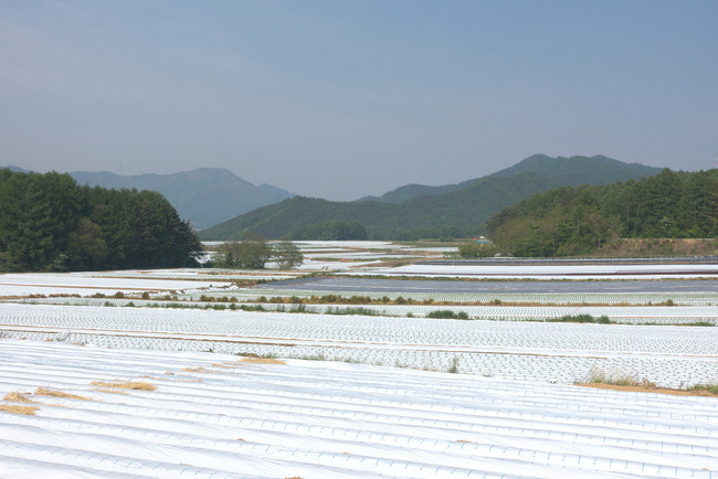 野辺山★瑞牆山-019