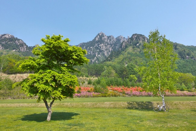 瑞牆山