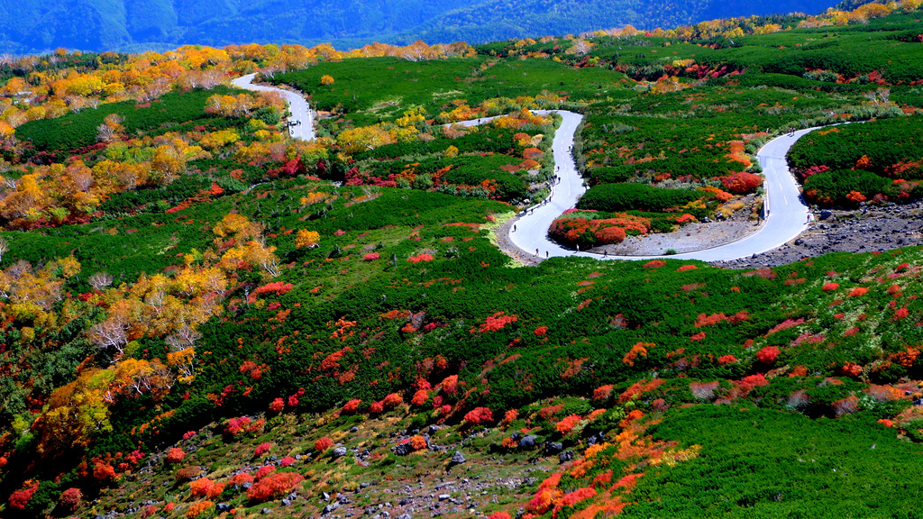 乗鞍紅葉ライド最高 自転車百景 乗鞍紅葉ライド最高 自転車百景