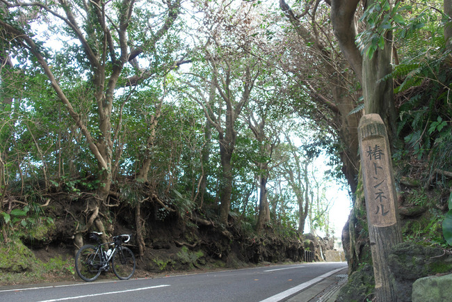 伊豆大島-006