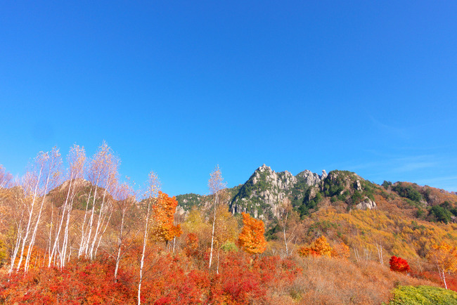 瑞牆山紅葉-015