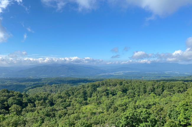 ヨウテイイチ-016