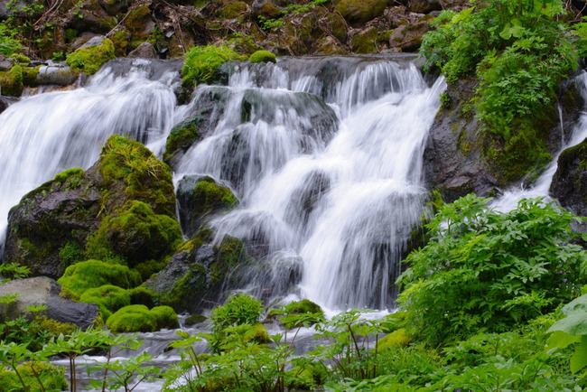 ヨウテイイチ-005