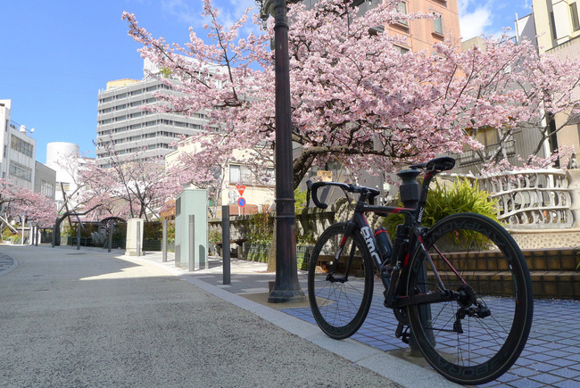 糸川遊歩道