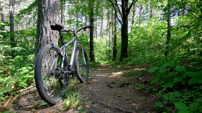 MTBバラギ湖
