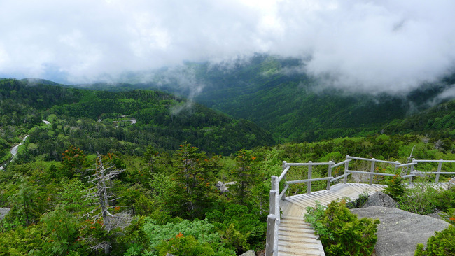 大弛峠-022
