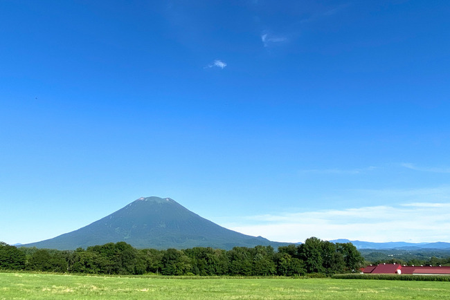 ヨウテイイチ-018