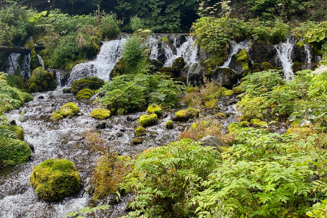 ヨウテイイチ-004