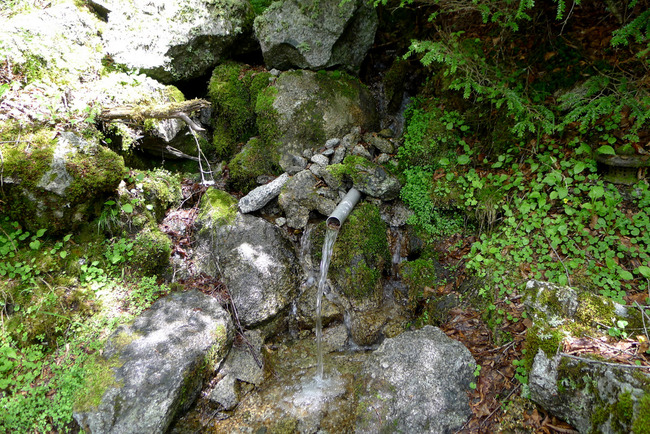 大弛峠-014