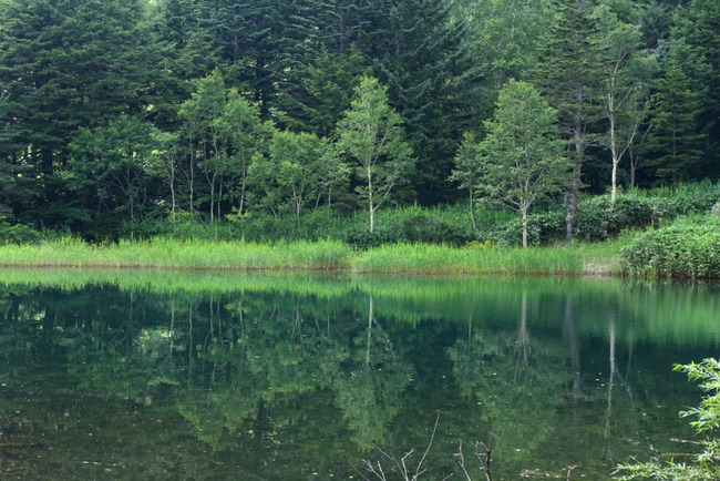 渋峠_毛無峠-016