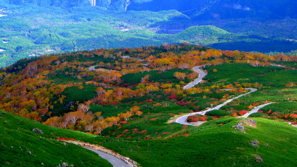 乗鞍紅葉ライド最高 自転車百景 乗鞍紅葉ライド最高 自転車百景