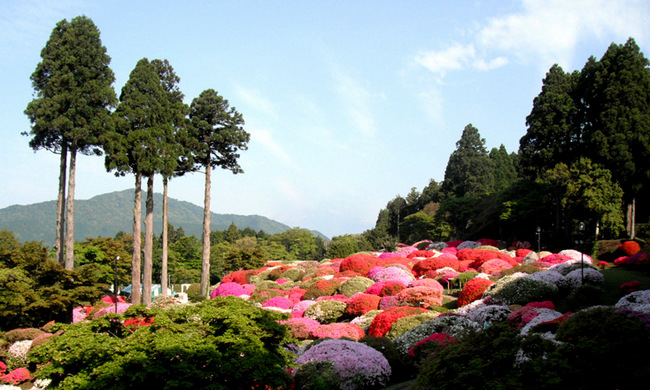 山のホテル