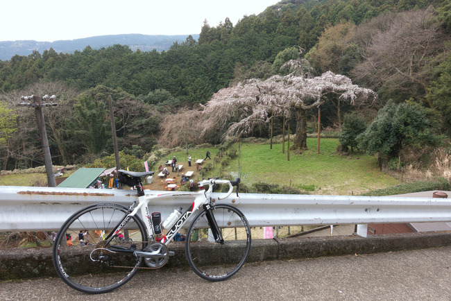 東伊豆