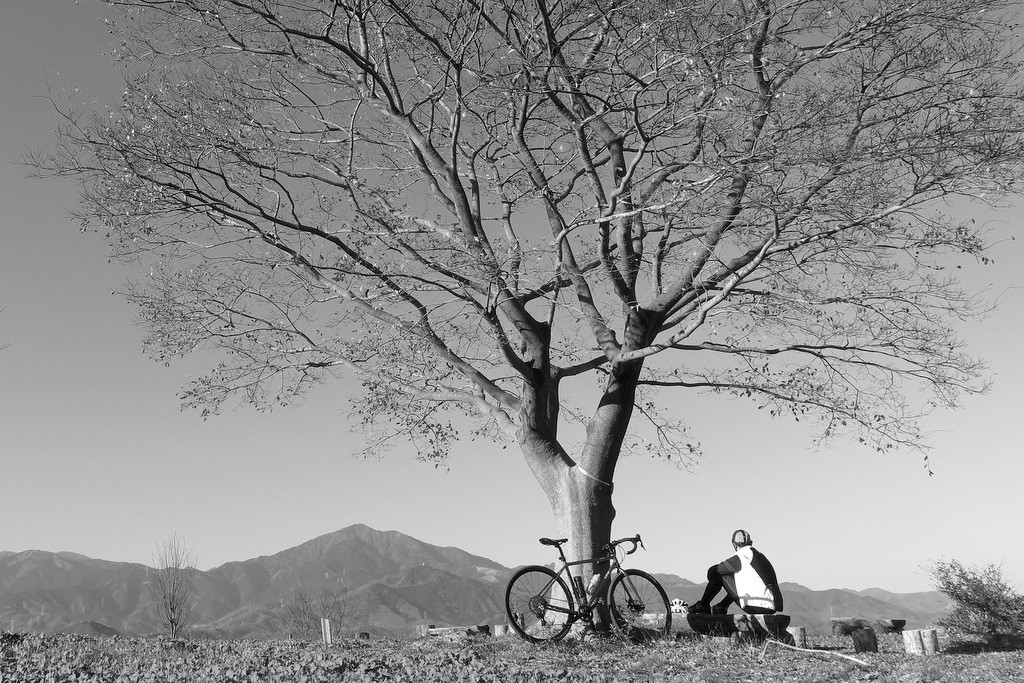 プチ秘境 大磯丘陵巡り 自転車百景