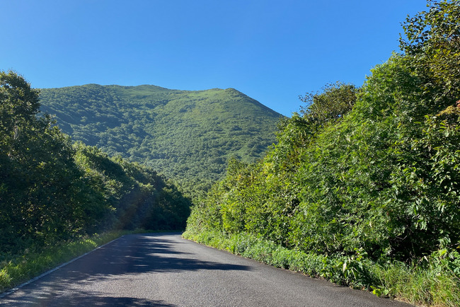 ヨウテイイチ-012