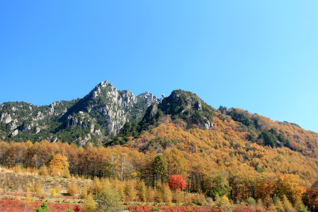感動すること間違いない 絶景すぎるみずがきエリアの紅葉 自転車百景 感動すること間違いない 絶景すぎるみずがきエリアの紅葉 自転車百景