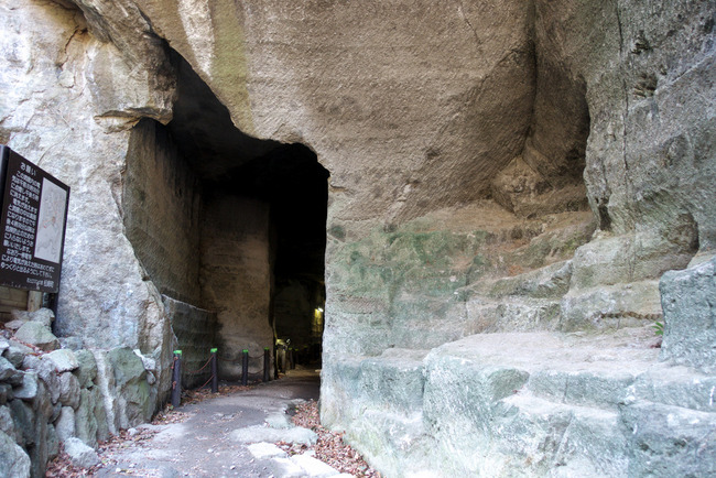 南伊豆河津桜-023