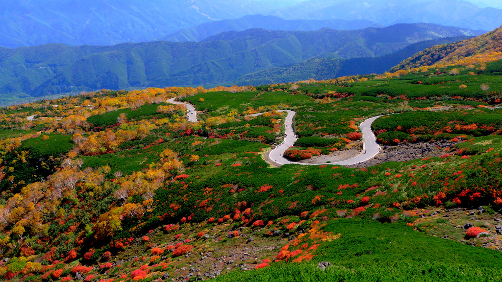 乗鞍紅葉ライド最高 自転車百景 乗鞍紅葉ライド最高 自転車百景