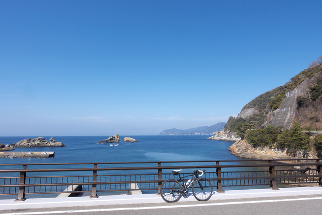 南伊豆河津桜-027