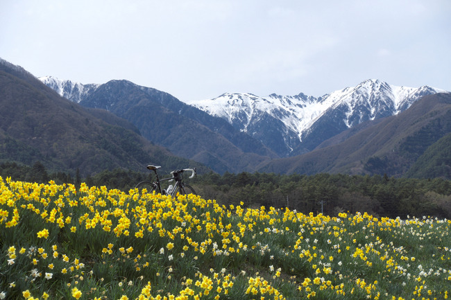 陣馬形山-020