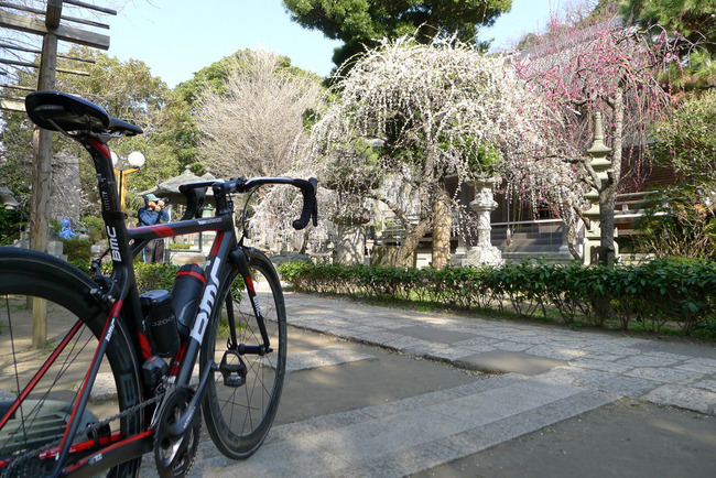 常立寺