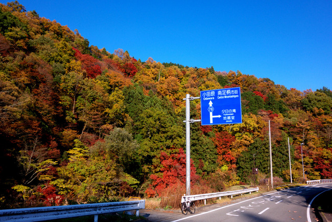 箱根紅葉狩り-009