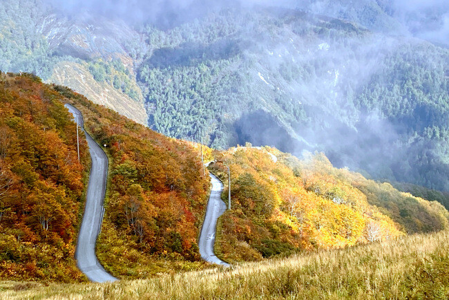 白馬-007