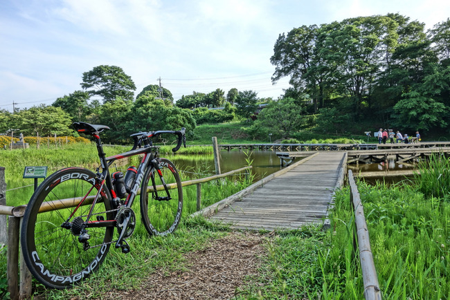 厳島湿生公園