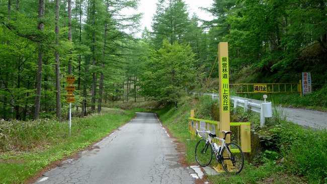 大弛峠-011