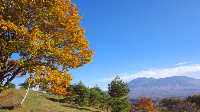高峰高原-036
