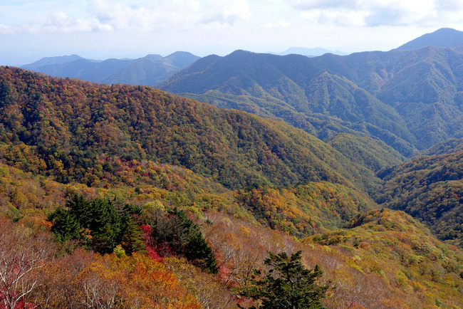 日光紅葉-005