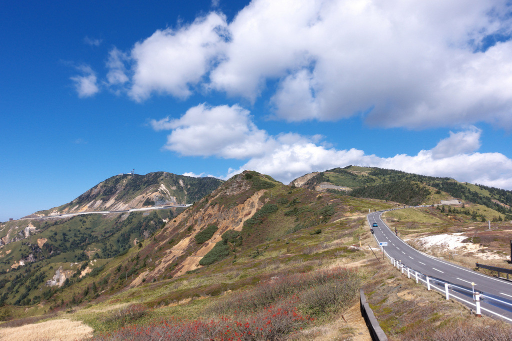 志賀 草津 道路 自転車