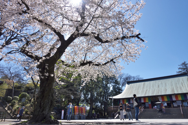 入間川越-009