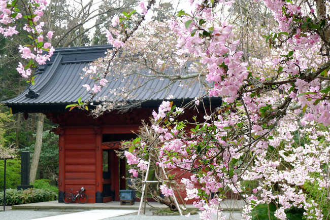 妙本寺山門