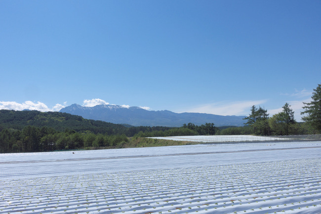 八ヶ岳&瑞牆山-013