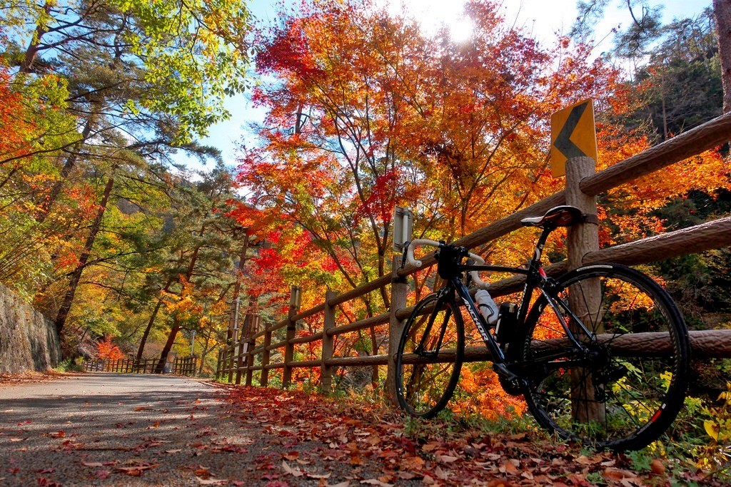 昇仙峡紅葉ポタ 落葉していた 自転車百景
