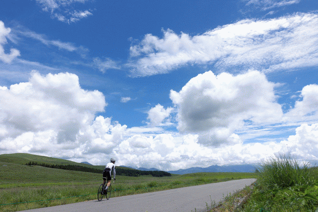 涼を求めてビーナスライン高原ライド ニッコウキスゲが最高 自転車百景 涼を求めてビーナスライン高原ライド ニッコウキスゲが最高 自転車百景