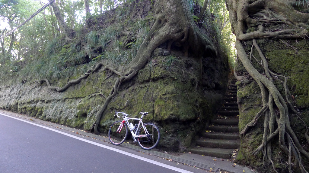 伊豆大島はダイナミックなジオパーク 自転車百景 伊豆大島はダイナミックなジオパーク 自転車百景