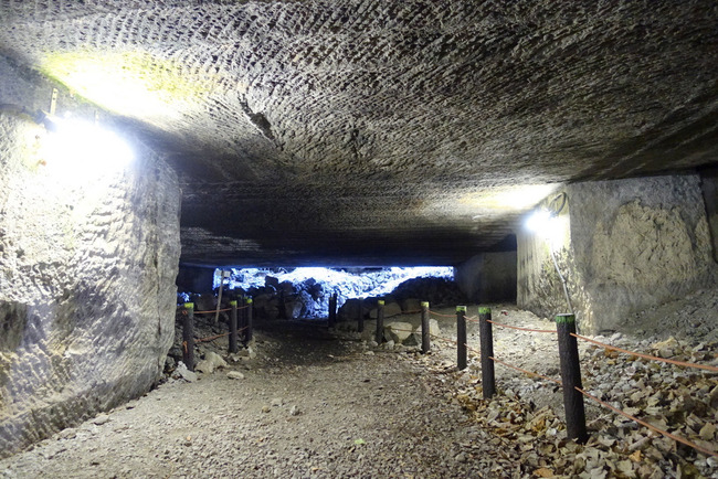 南伊豆河津桜-024